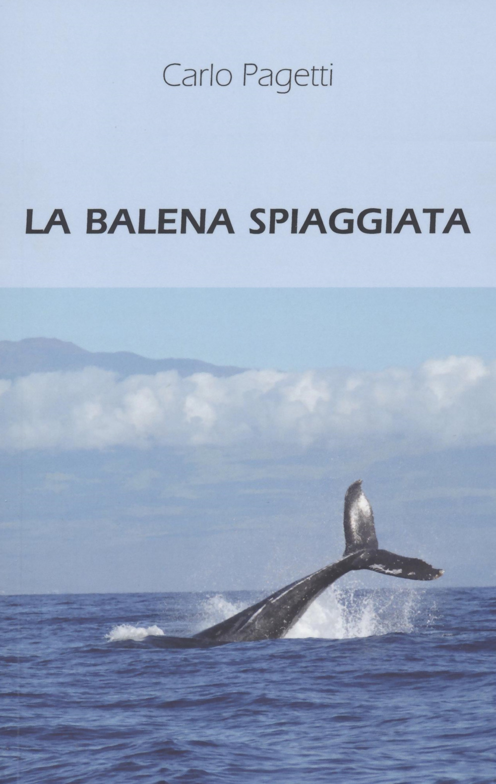 La balena spiaggiata