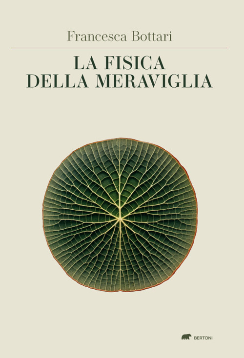 La fisica della meraviglia