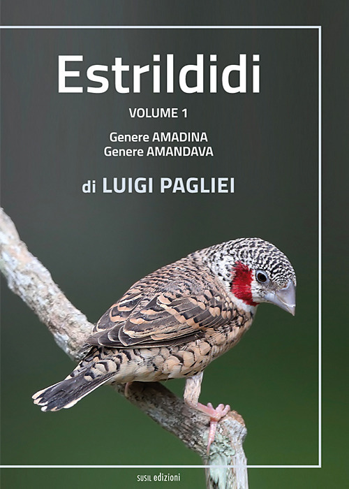 Estrildidi. Ediz. illustrata. Vol. 1: Genere amadina, genere amandava