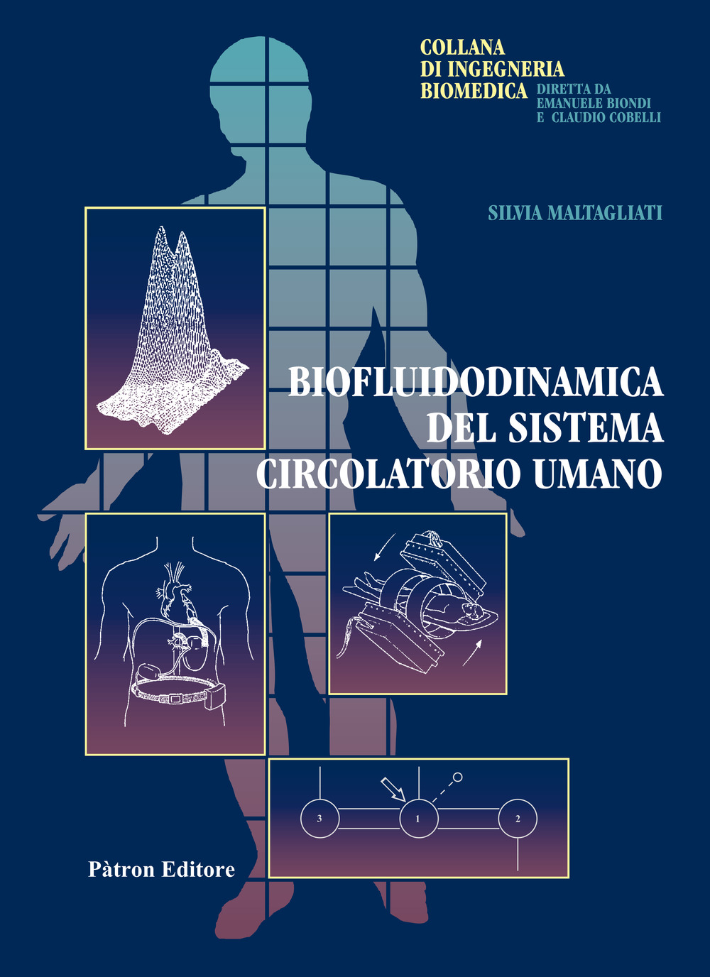 Biofluidodinamica del sistema circolatorio umano