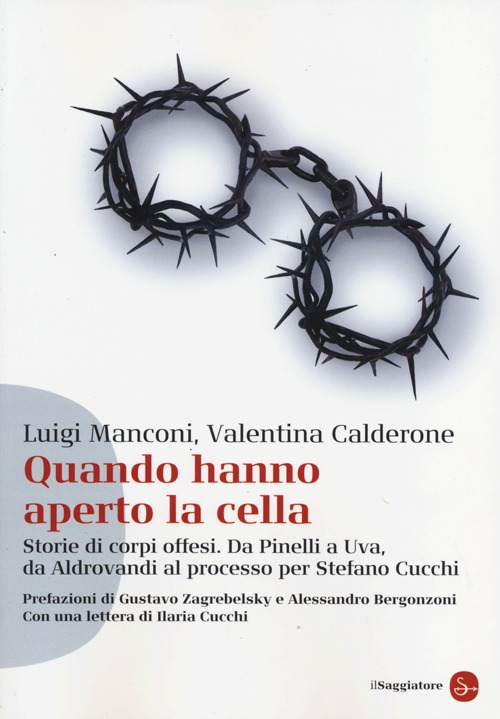 Quando hanno aperto la cella. Storie di corpi offesi. Da Pinelli a Uva, da Aldovrandi al processo per Stefano Cucchi