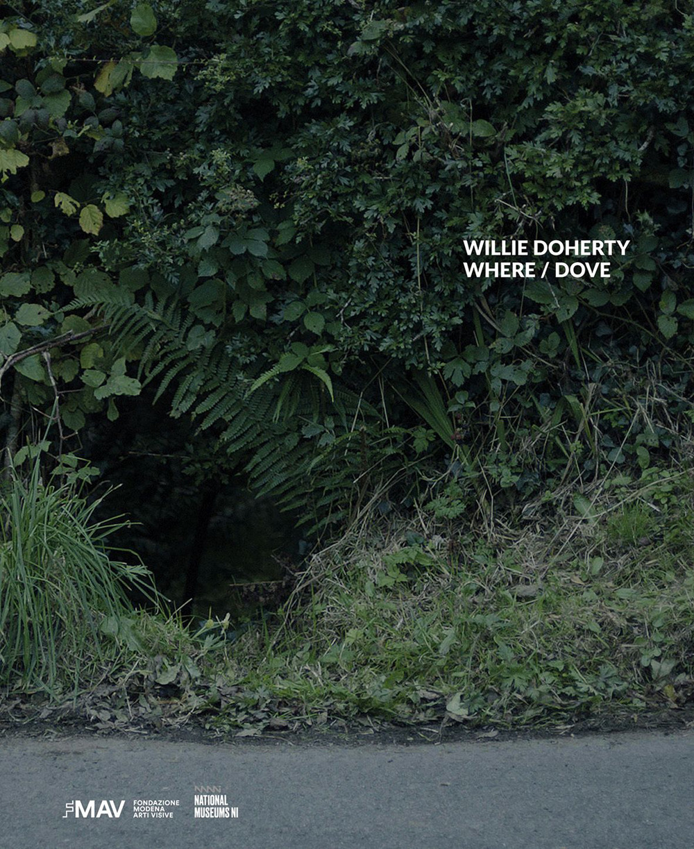 Willie Doherty. Where/Dove