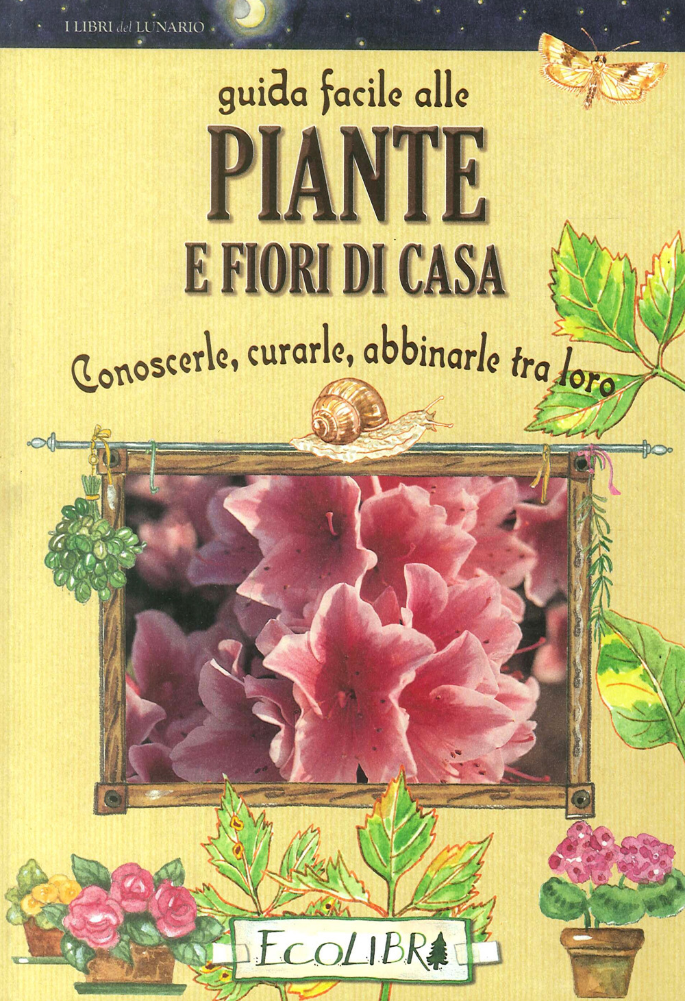 Guida facile alle piante e fiori di casa. Conoscerle, curarle, abbinarle tra loro