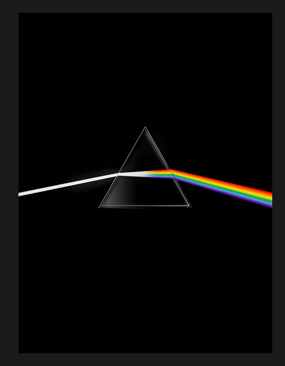 Pink Floyd. Their mortal remains. Ediz. a colori