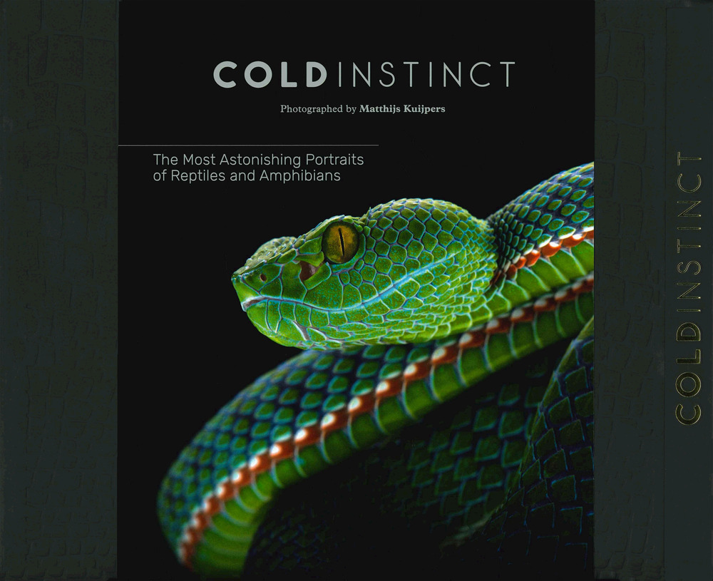 Cold instinct. Ediz. a colori