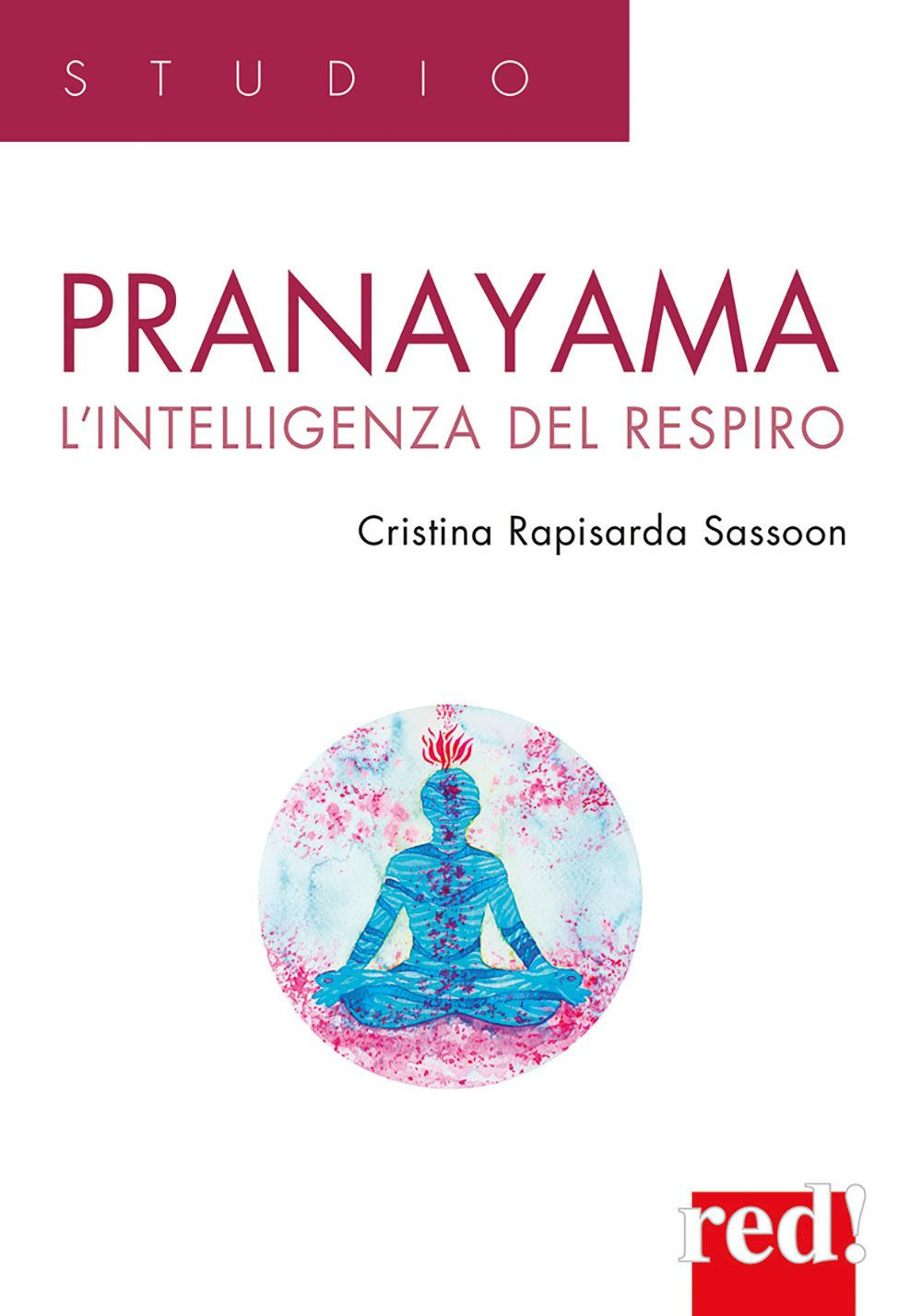 Pranayama. L'intelligenza del respiro