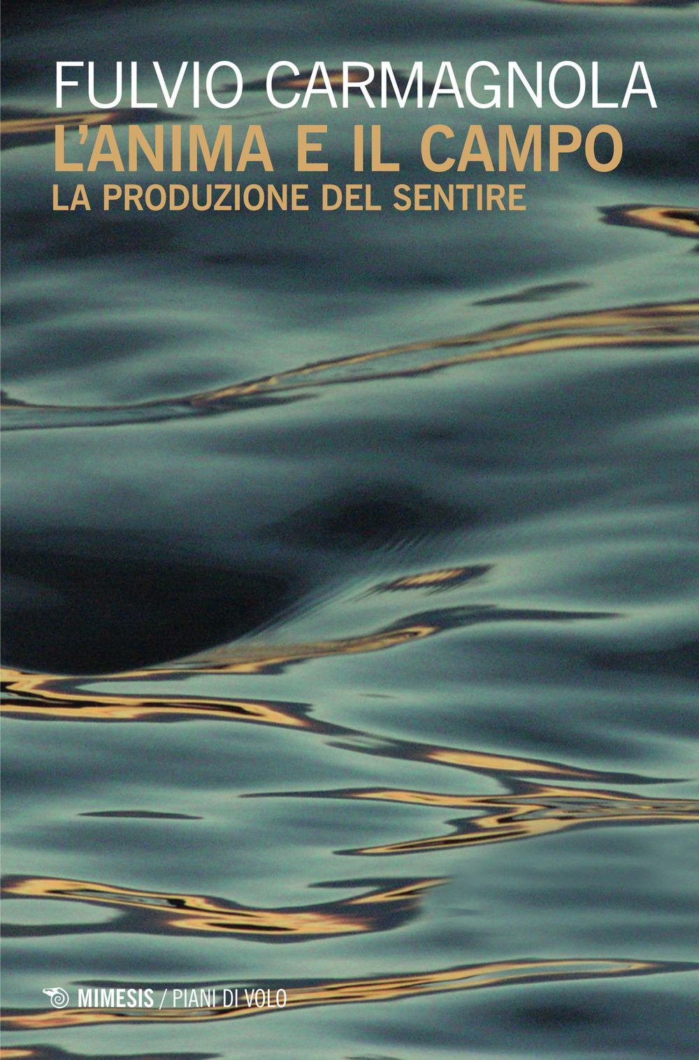 L'anima e il campo. La produzione del sentire