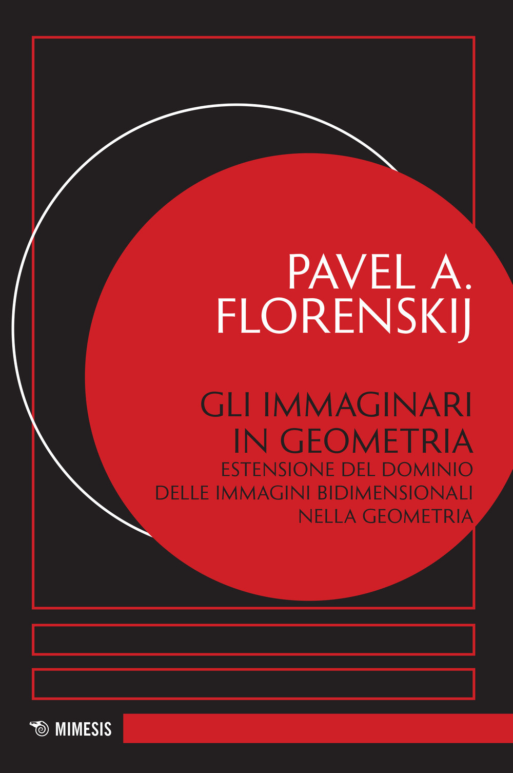 Gli immaginari in geometria. Estensione del dominio delle immagini bidimensionali nella geometria