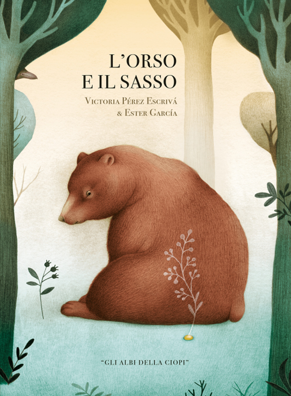 L'orso e il sasso. Ediz. a colori