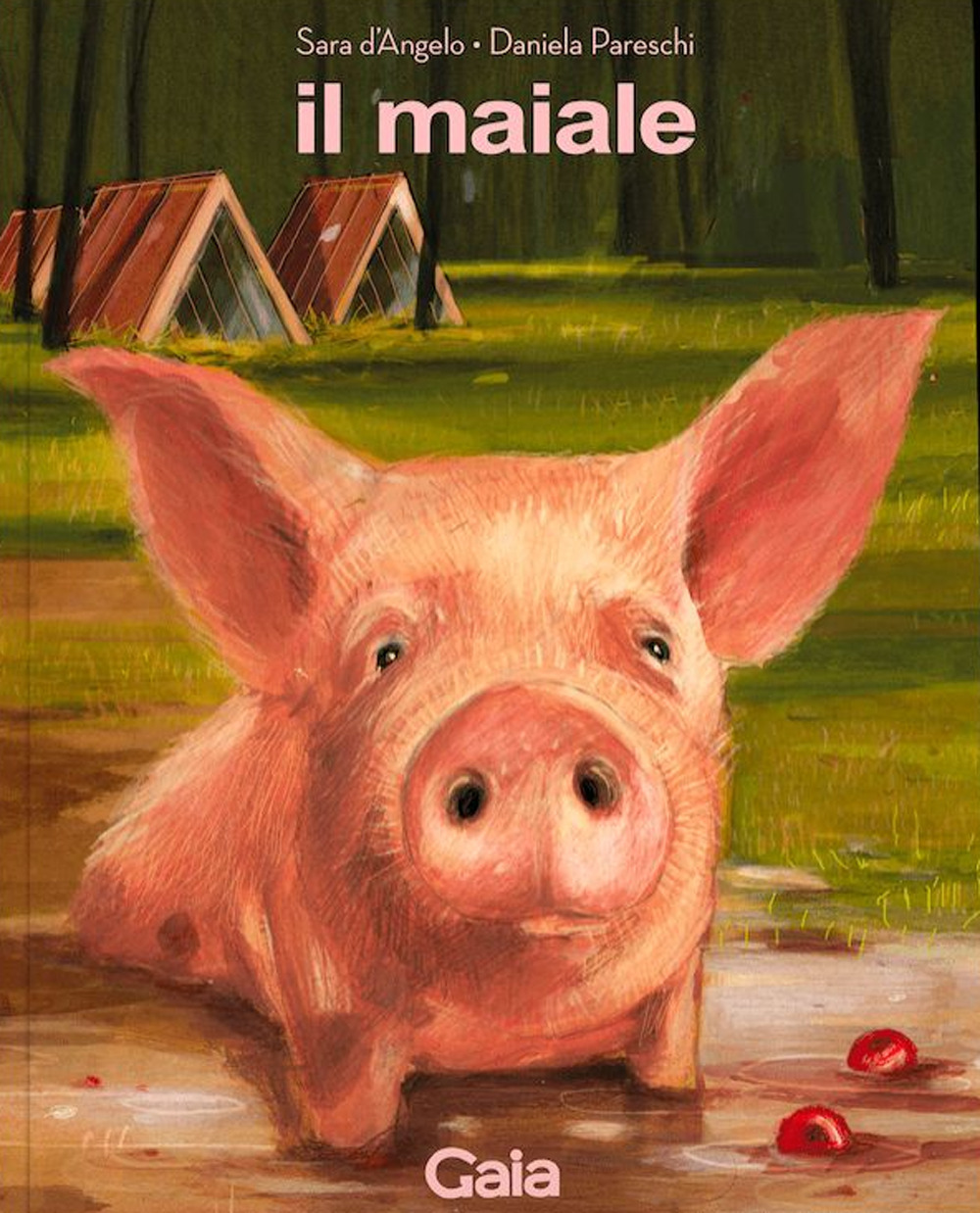 Il maiale. Ediz. a colori