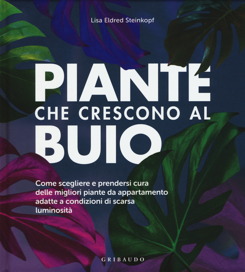 Piante che crescono al buio. Come scegliere e prendersi cura delle migliori piante d'appartamento adatte a condizioni di scarsa luminosità