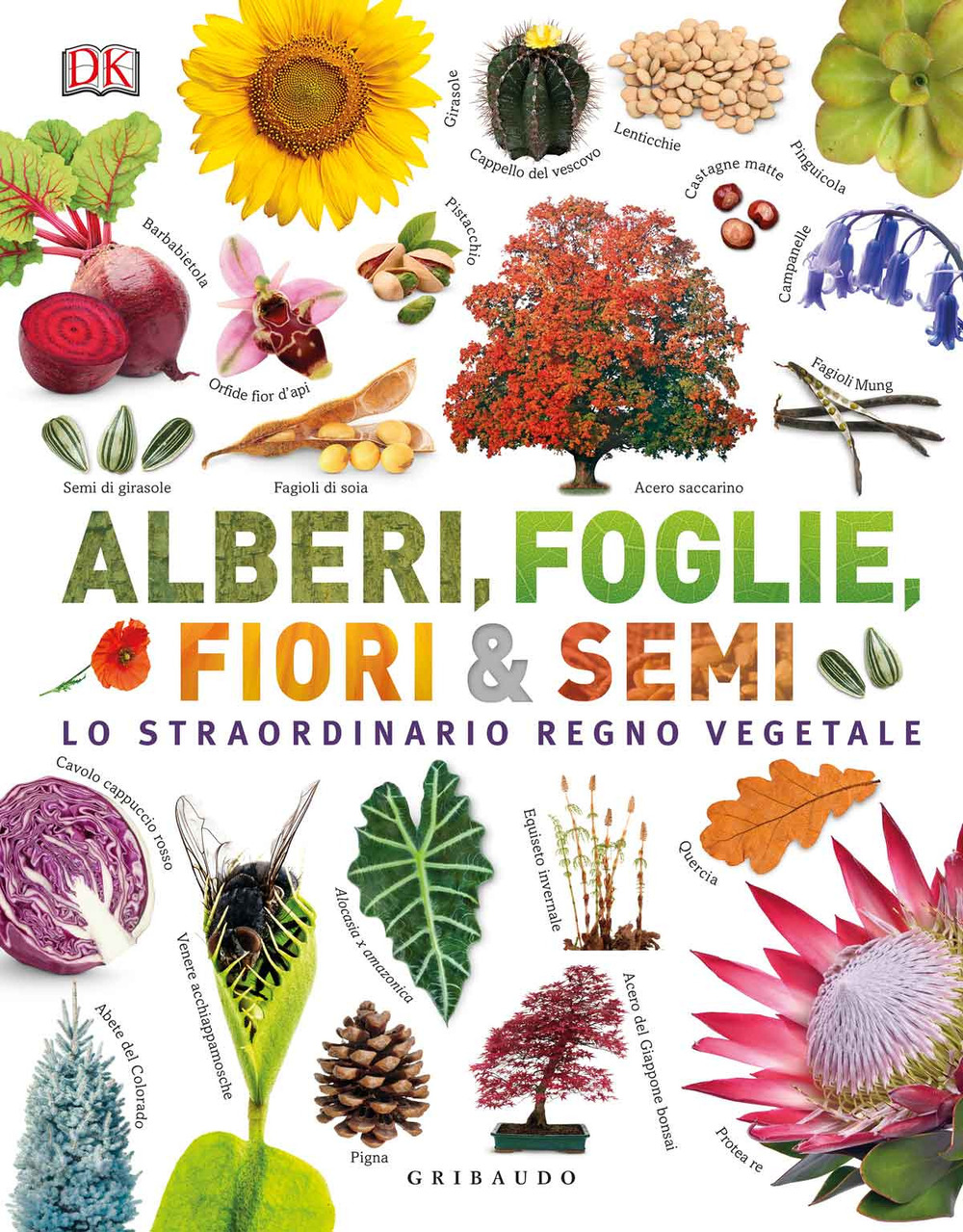 Alberi, foglie, fiori & semi. Lo straordinario regno vegetale. Ediz. a colori