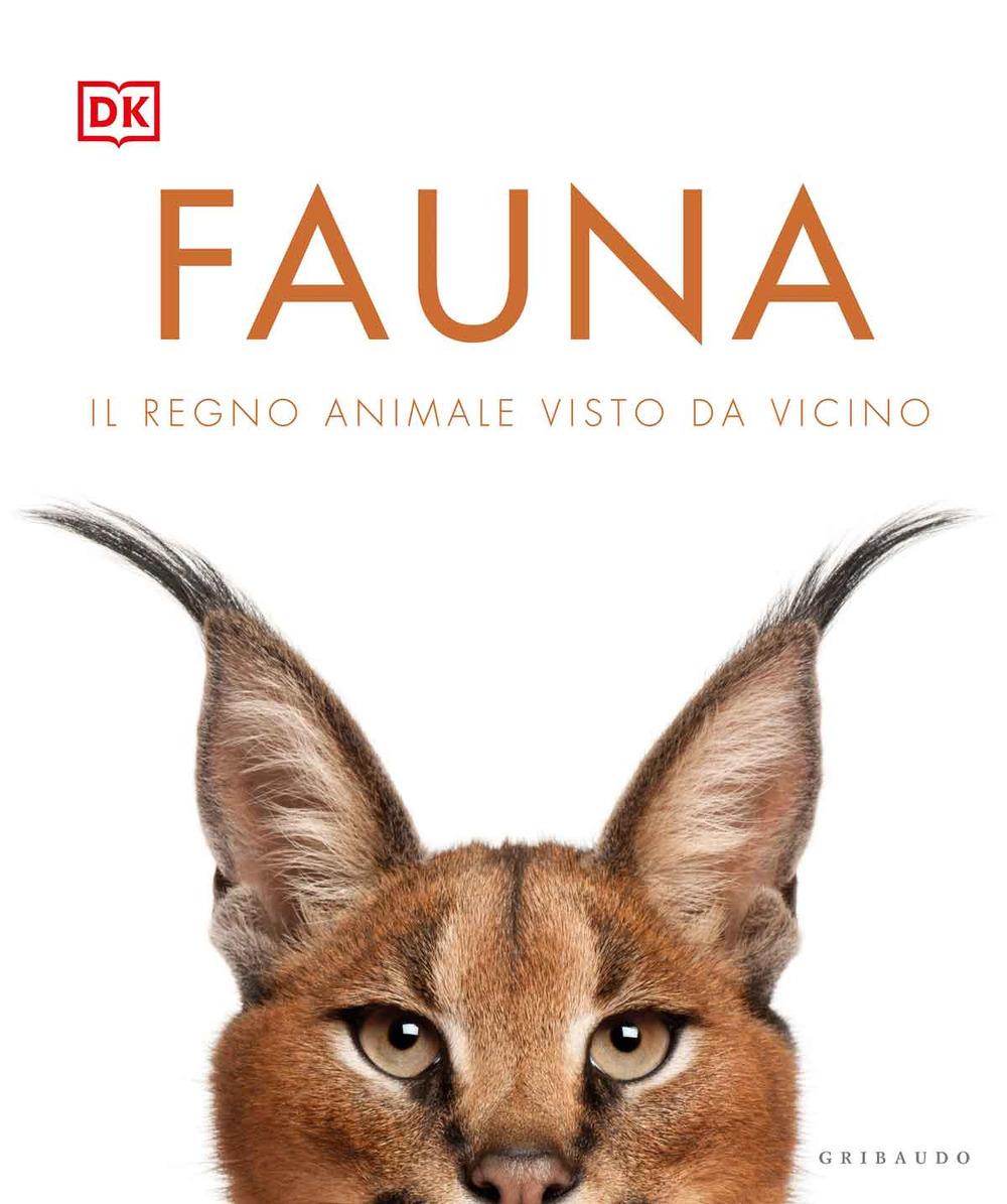 Fauna. Il regno animale visto da vicino. Ediz. illustrata