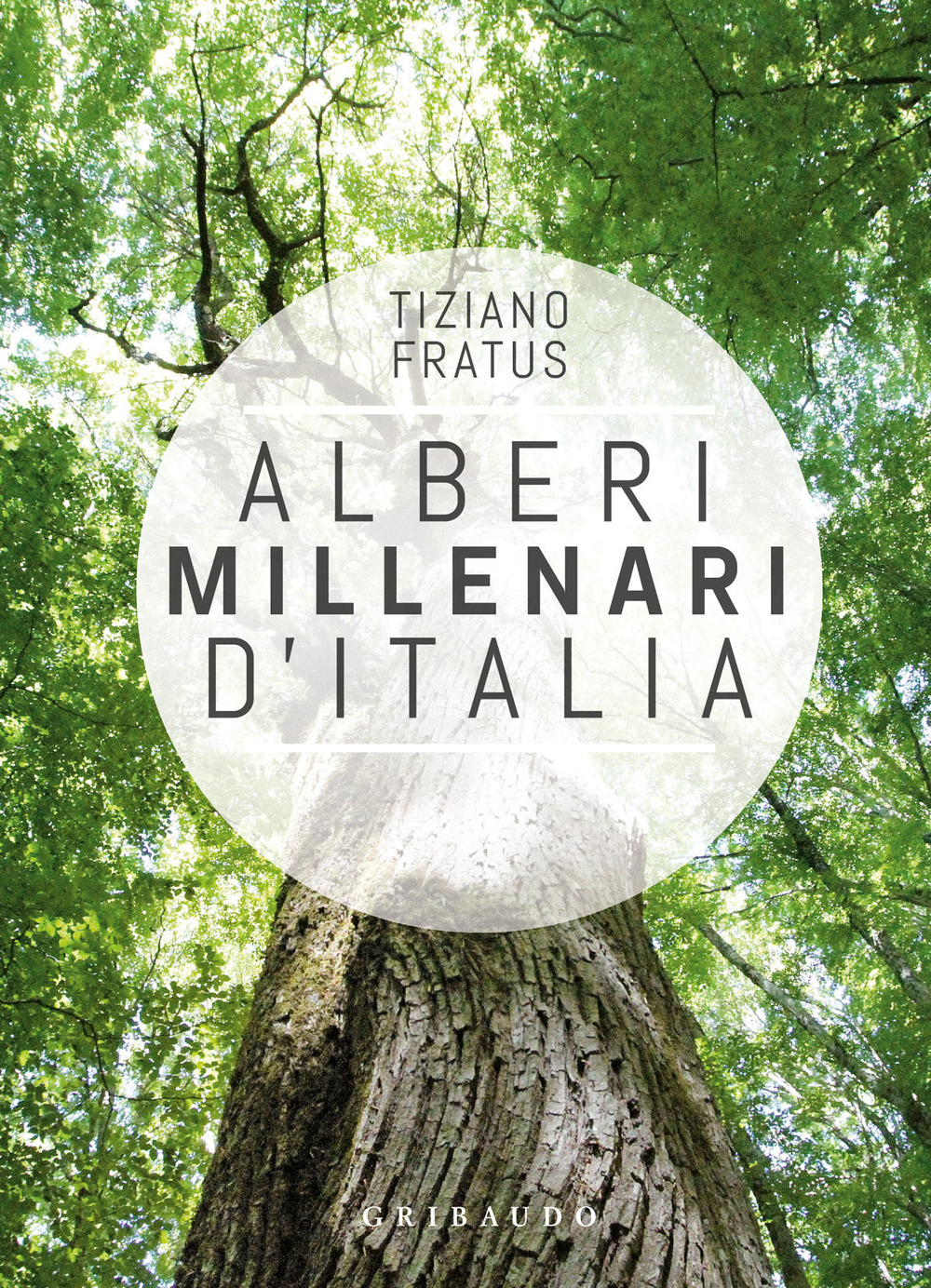 Alberi millenari d'Italia. Un viaggio fra i boschi nascosti. Ediz. illustrata