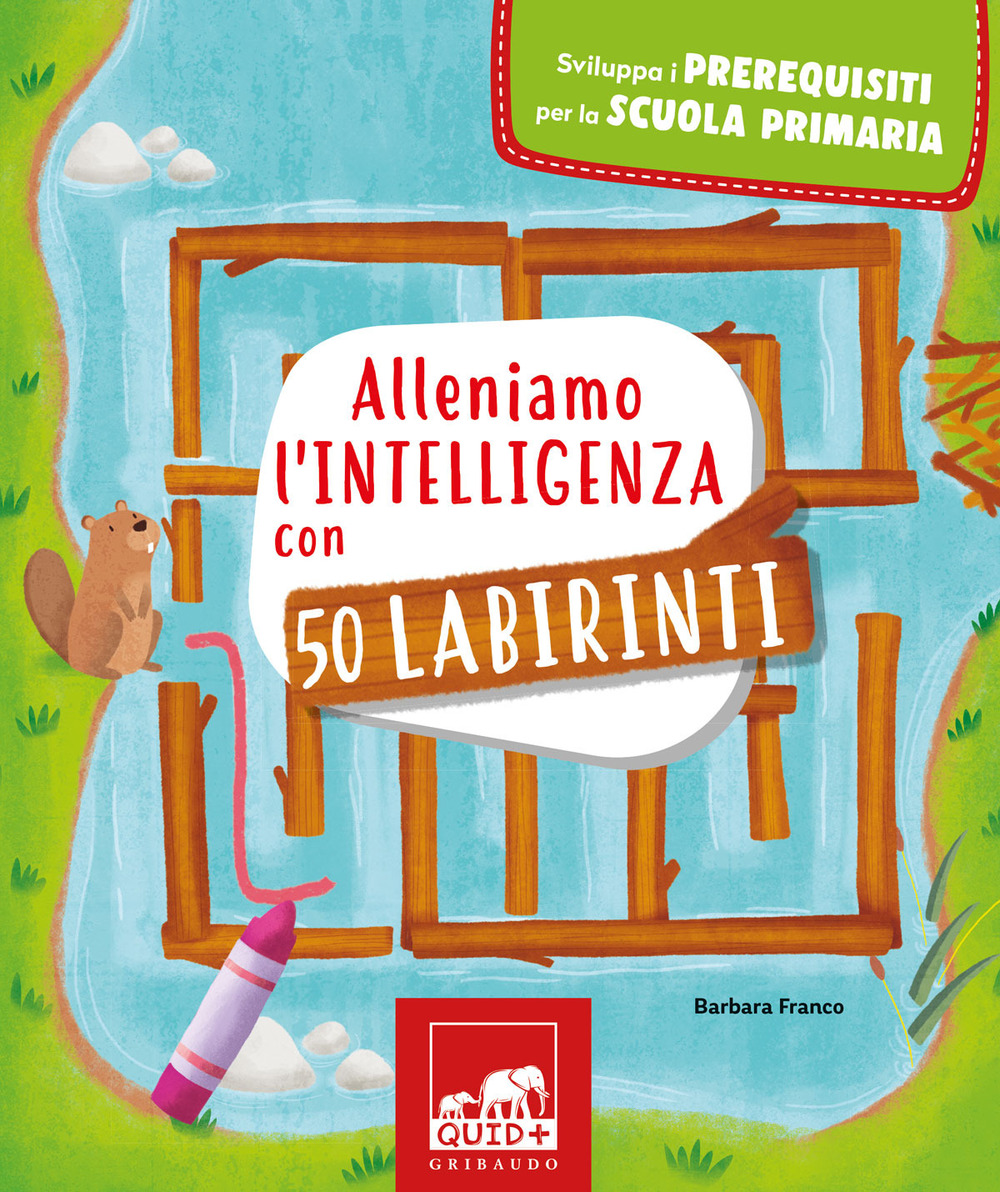 Alleniamo l'intelligenza con 50 labirinti