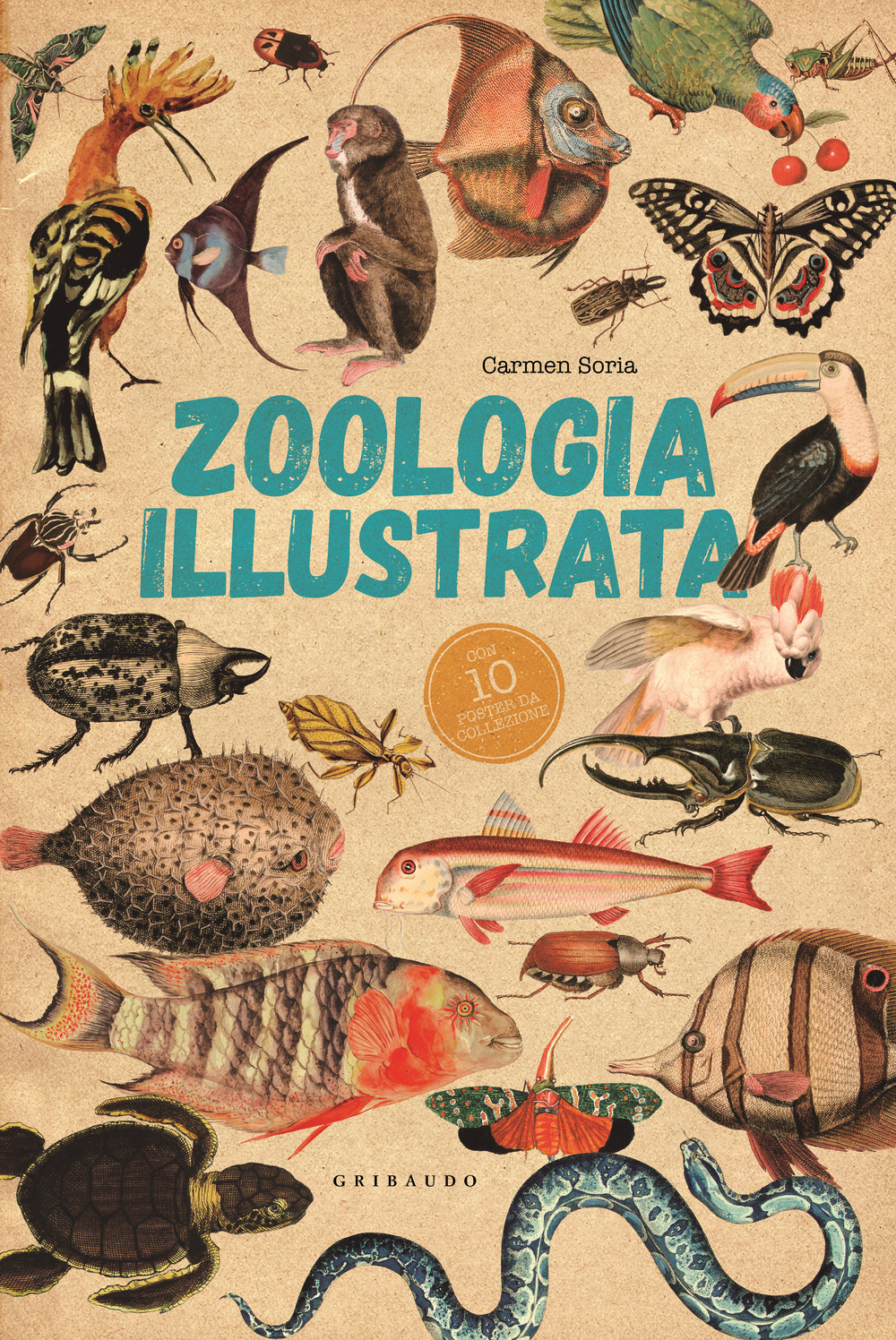 Zoologia illustrata. Con 10 poster