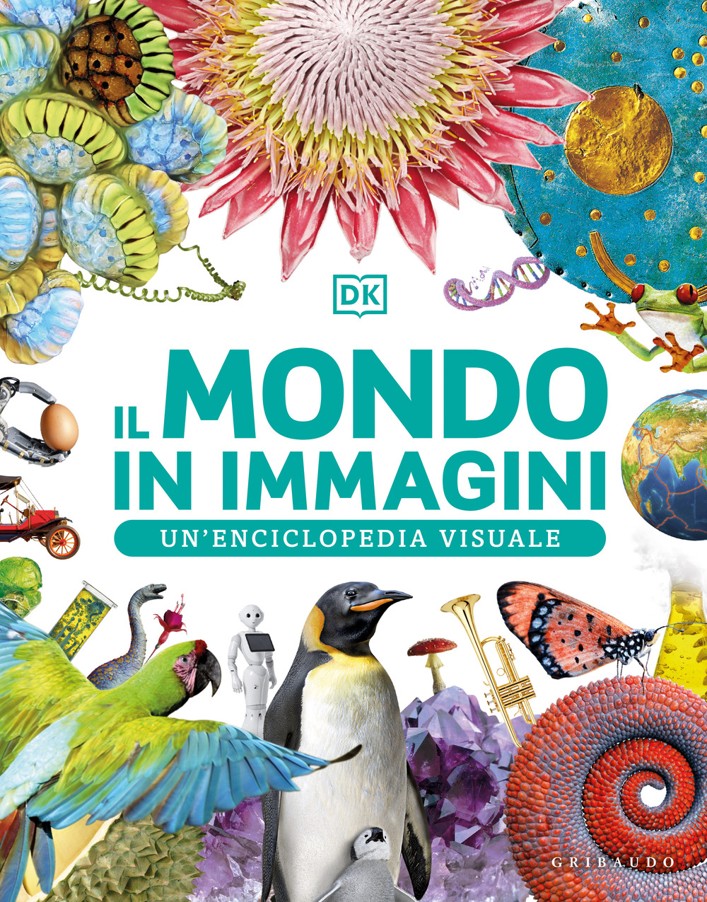 Il mondo in immagini. Un'enciclopedia visuale. Ediz. illustrata