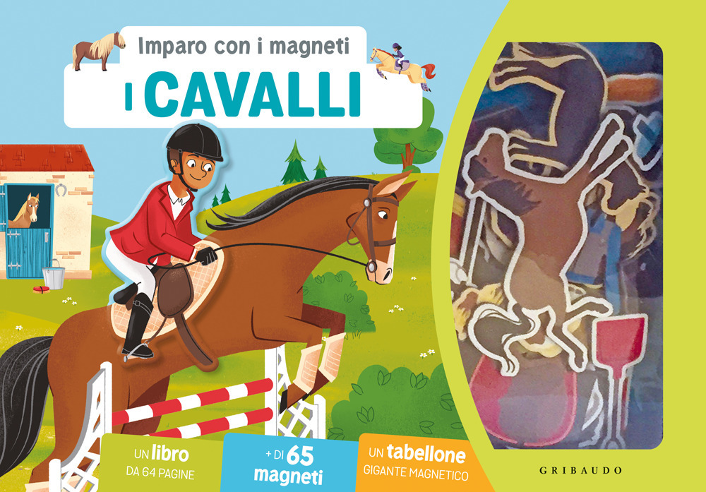 Cavalli. Imparo con i magneti. Ediz. a colori. Con 65 magneti. Con tabellone