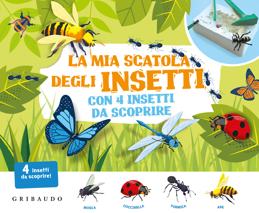 La mia scatola degli insetti con 4 insetti da scoprire. Ediz. illustrata. Con gadget
