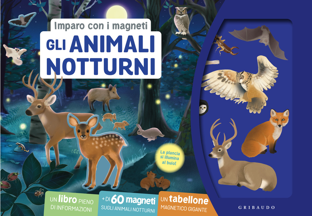 Gli animali notturni. Imparo con i magneti. Ediz. a colori. Con 60 magneti. Con tabellone magnetico gigante