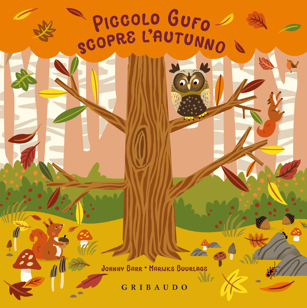 Piccolo gufo scopre l'autunno. Ediz. illustrata