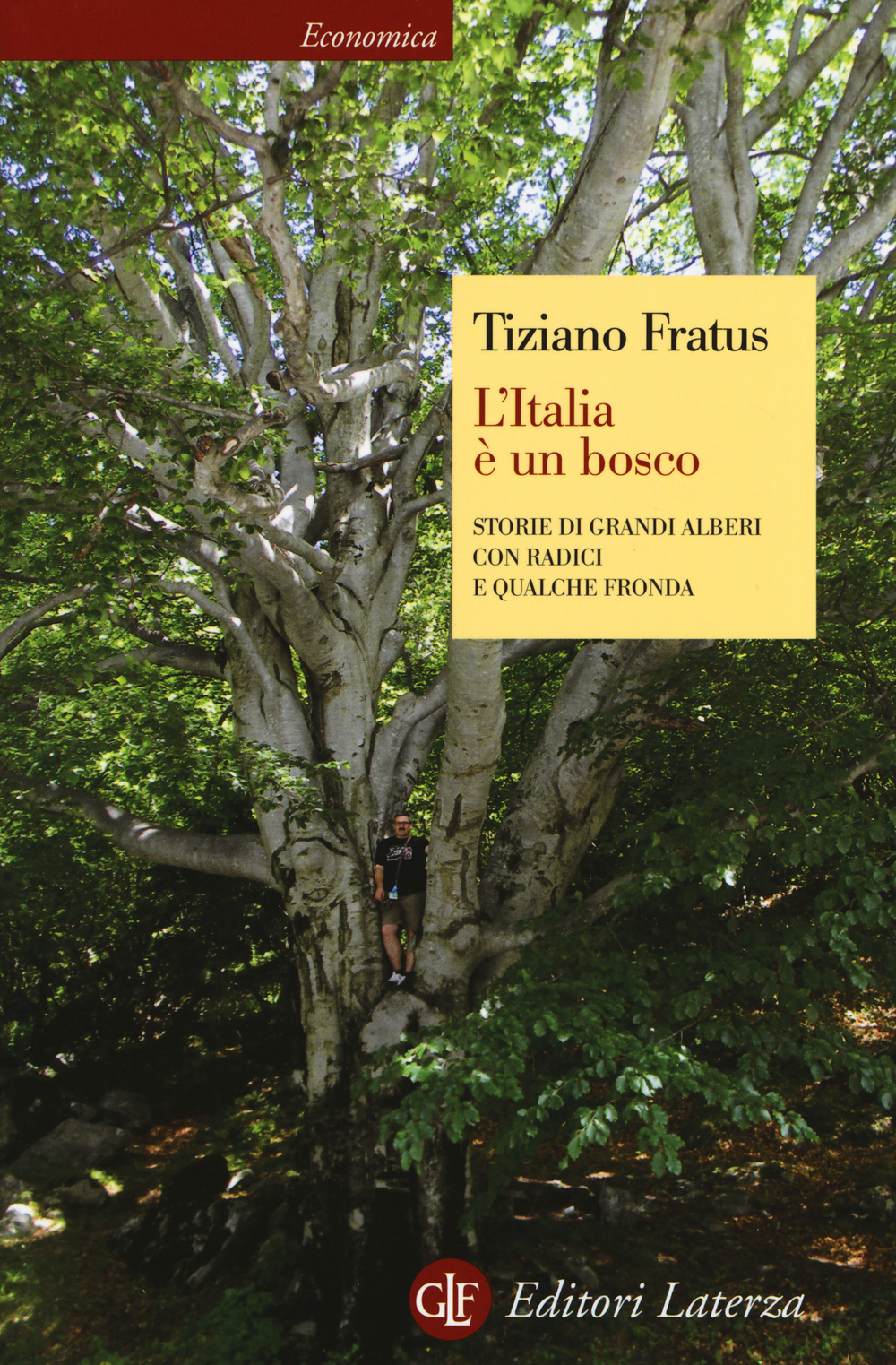 L'Italia è un bosco. Storie di grandi alberi con radici e qualche fronda