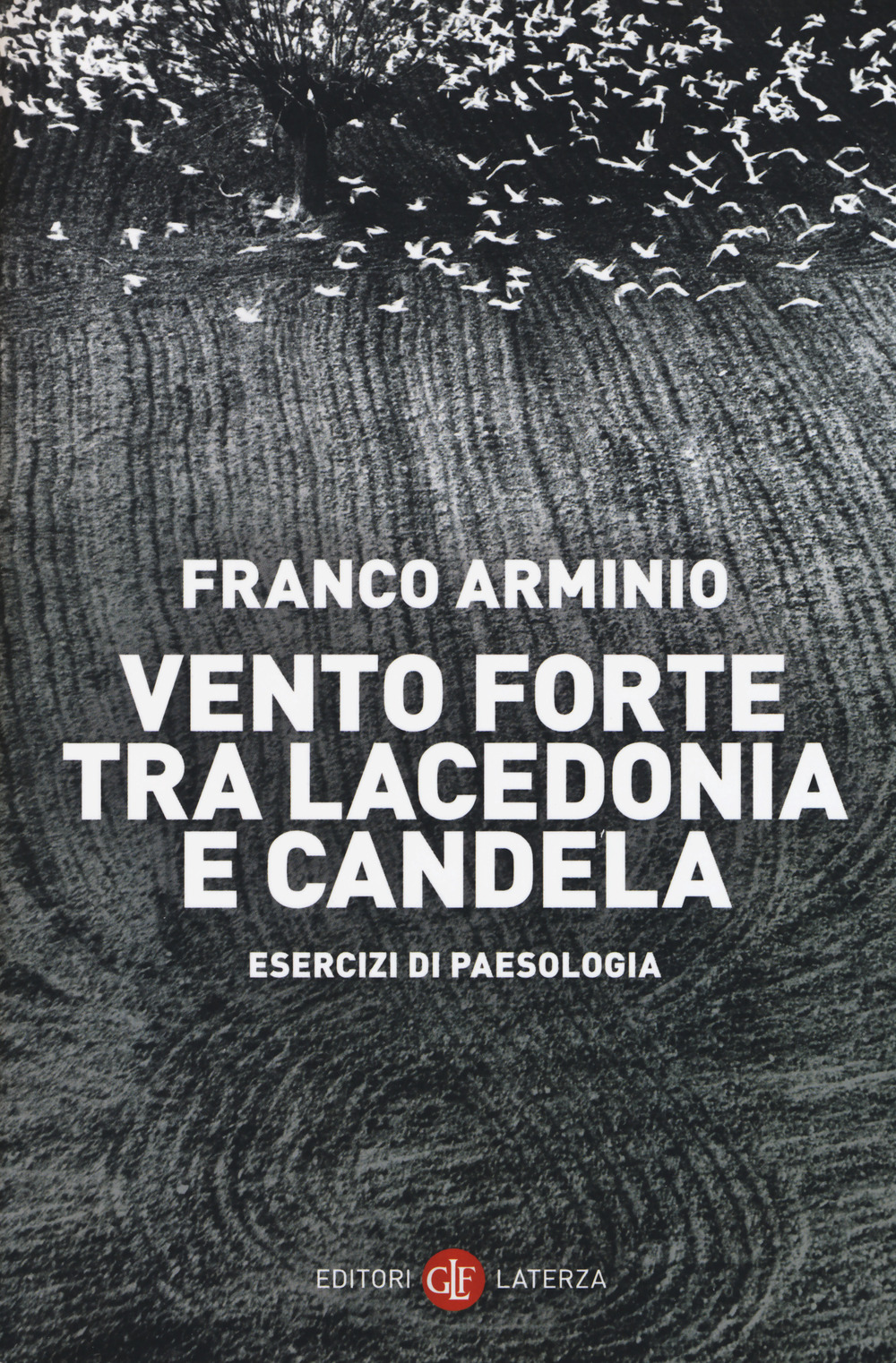 VENTO FORTE TRA LACEDONIA E CANDELA. ESERCIZI DI PAESOLOGIA - 9788858132630