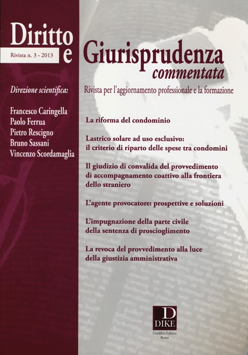 Diritto e giurisprudenza commentata (2013). Vol. 3