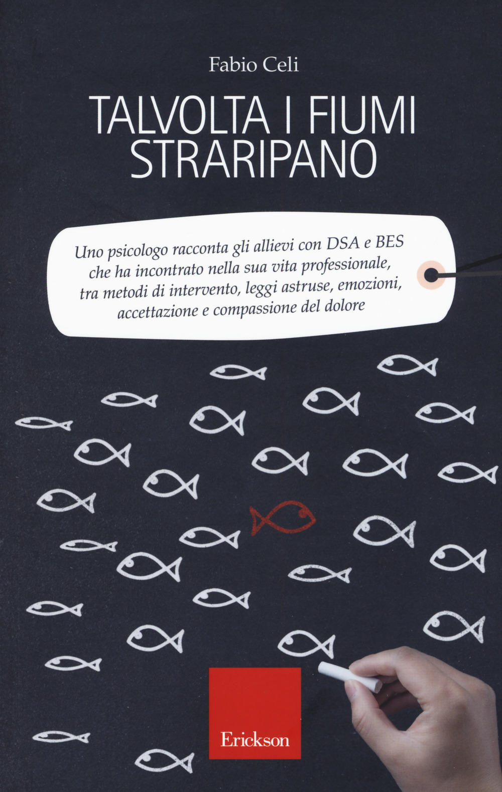 Talvolta i fiumi straripano. Uno psicologo racconta gli allievi con DSA e BES che ha incontrato nella sua vita professionale, tra metodi di intervento, leggi astruse, emozioni, accettazione e compassione del dolore