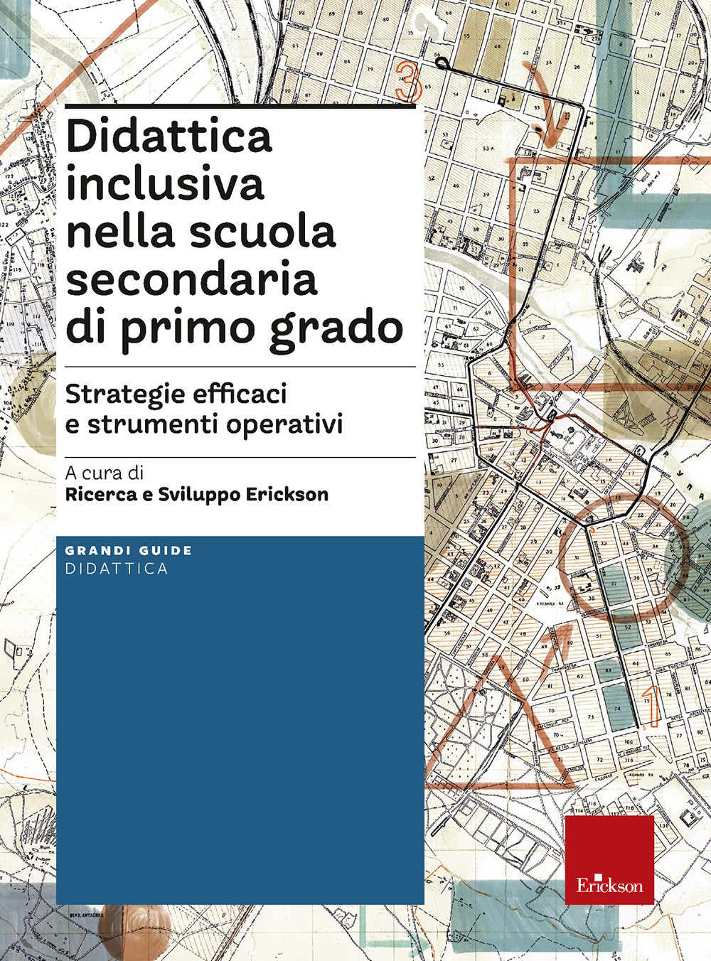 Didattica inclusiva nella scuola secondaria di primo grado. Strategie efficaci e strumenti operativi. Con Contenuto digitale per download e accesso online