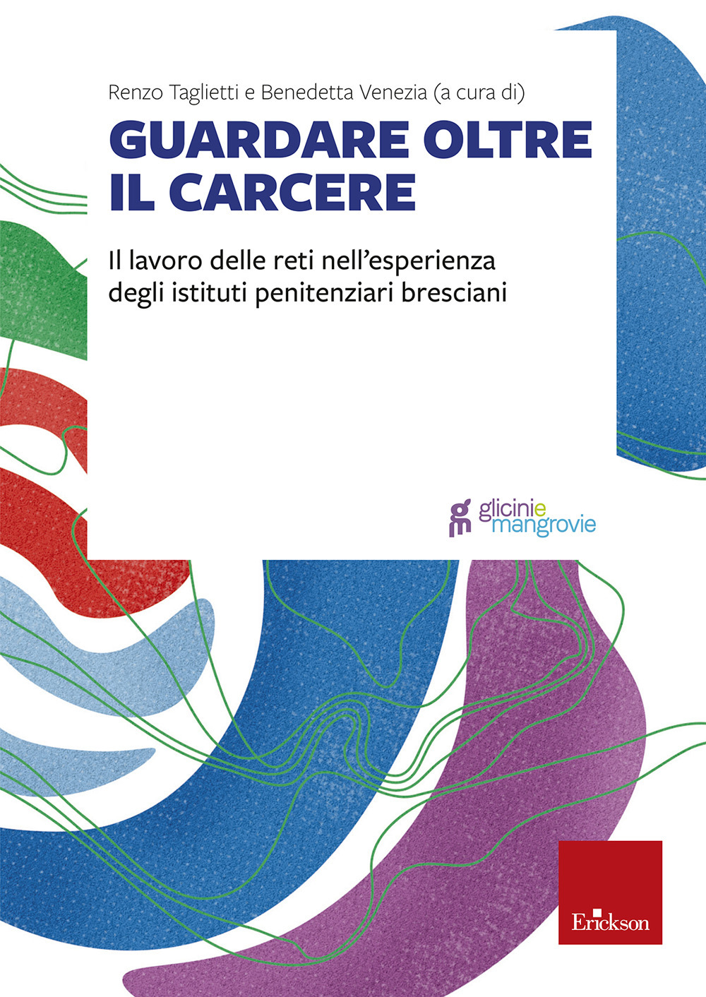 Guardare oltre il carcere. Il lavoro delle reti nell'esperienza degli istituti penitenziari bresciani