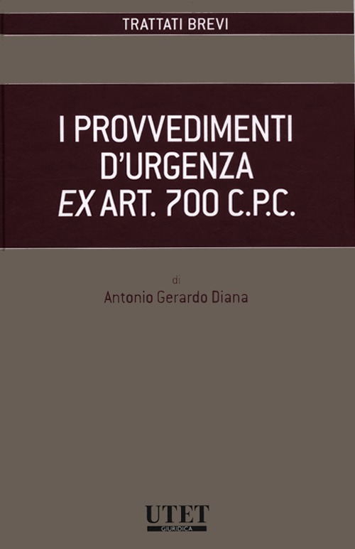 I provvedimenti d'urgenza ex art. 700 C.P.C.