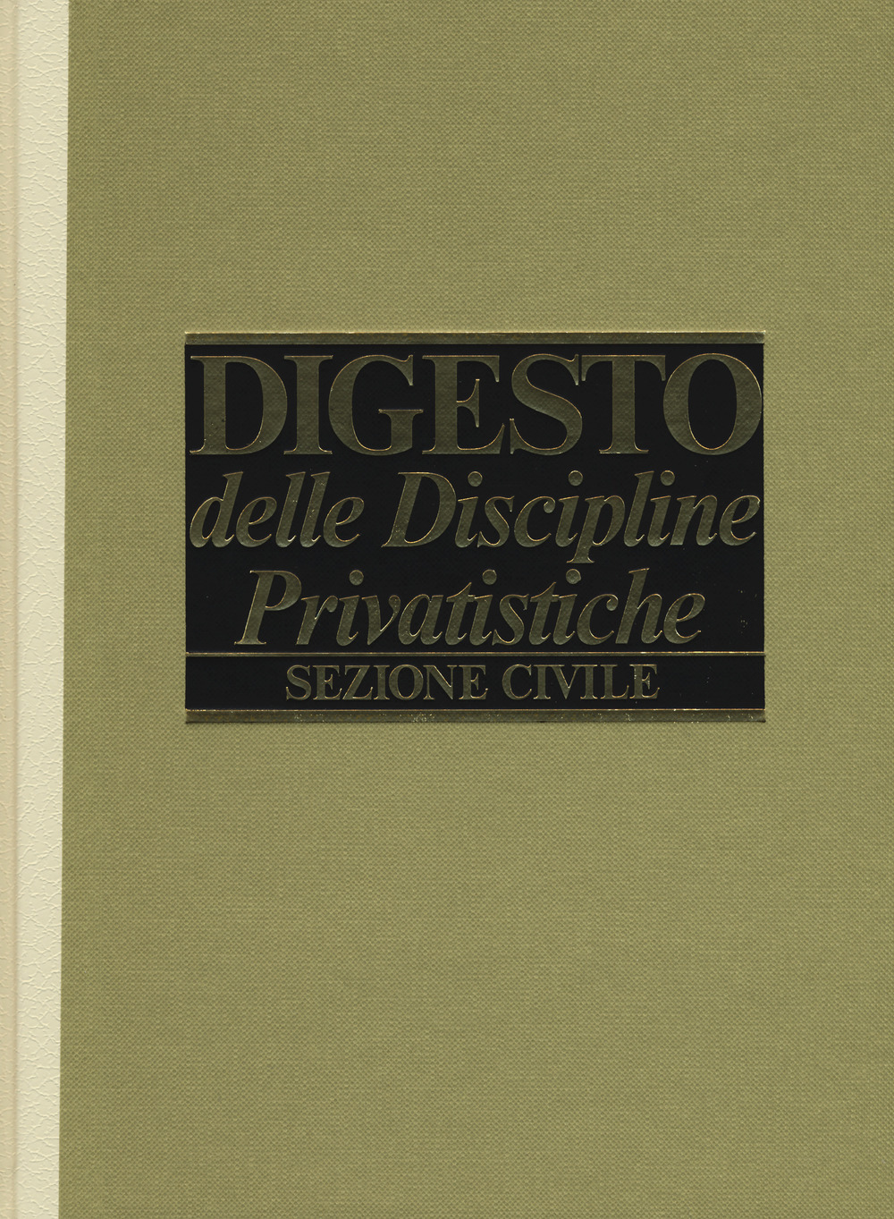 Digesto delle discipline privatistiche. Sezione civile. Aggiornamento. Vol. 12