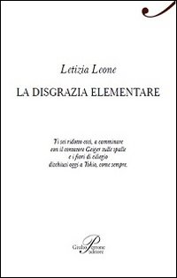 La disgrazia elementare