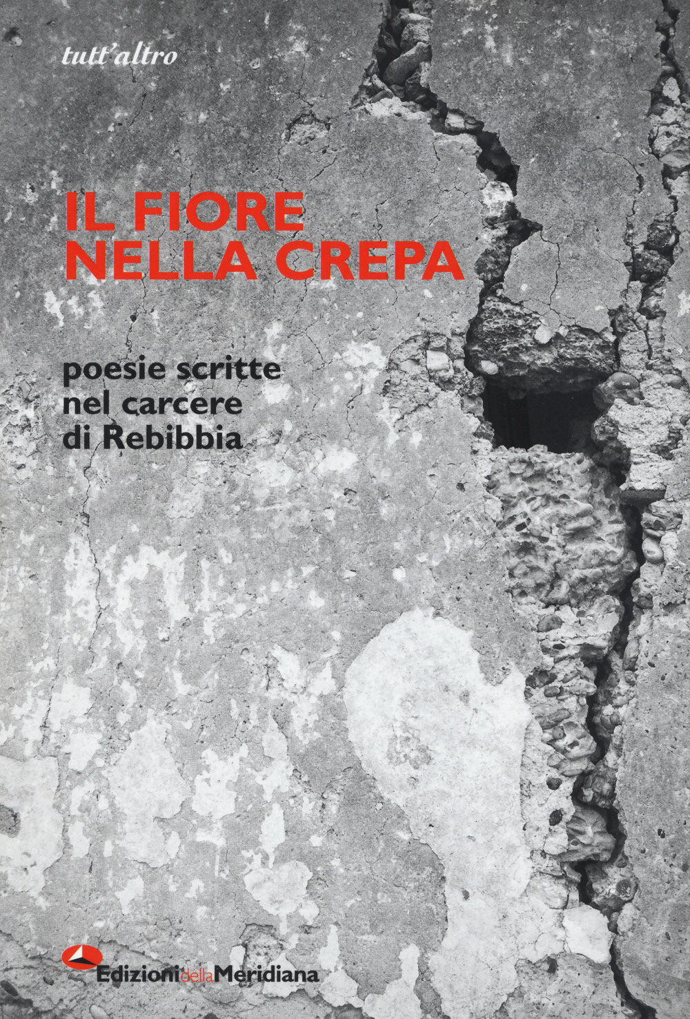 Il fiore nella crepa. Poesie scritte nel carcere di Rebibbia