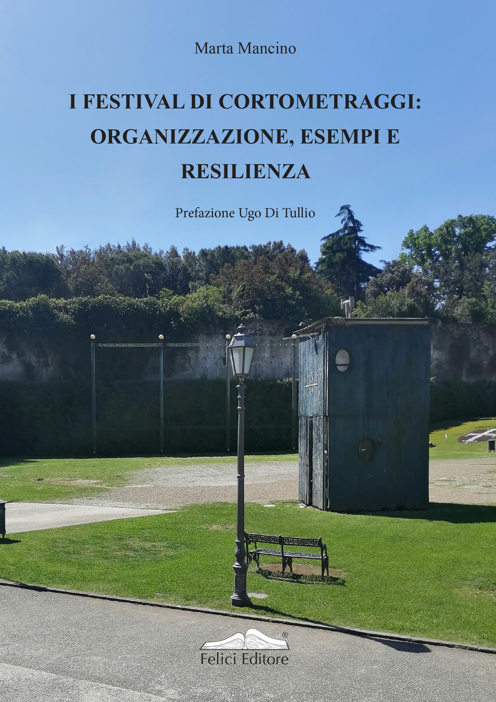 I festival di cortometraggi: organizzazione, esempi e resilienza