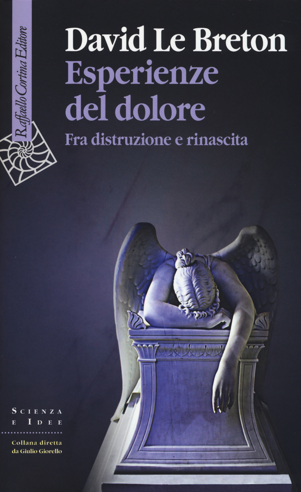 Esperienze del dolore. Fra distruzione e rinascita