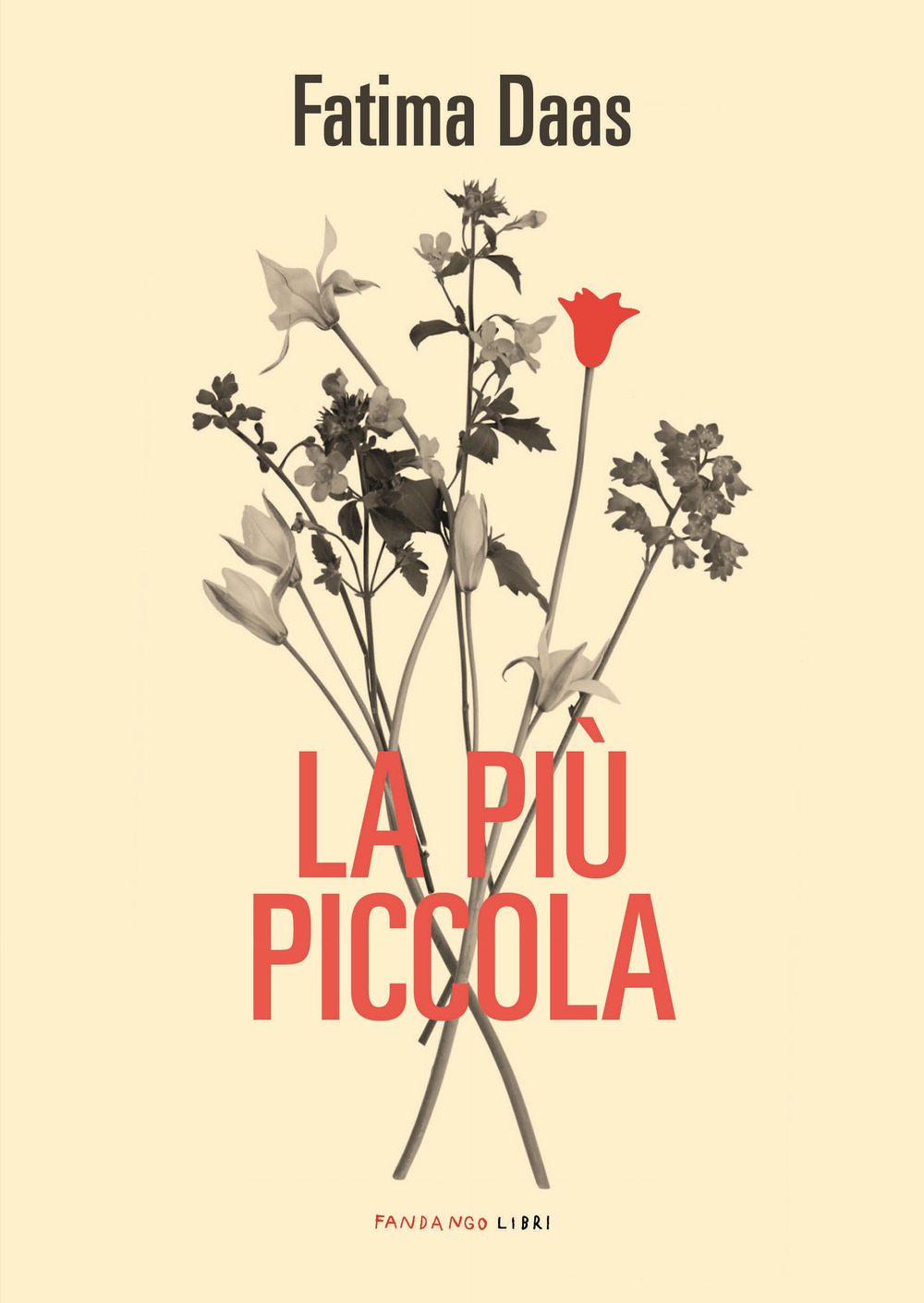 PIÙ PICCOLA (LA) - 9788860447708