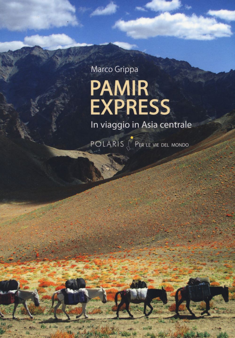 Pamir express. In viaggio in Asia centrale