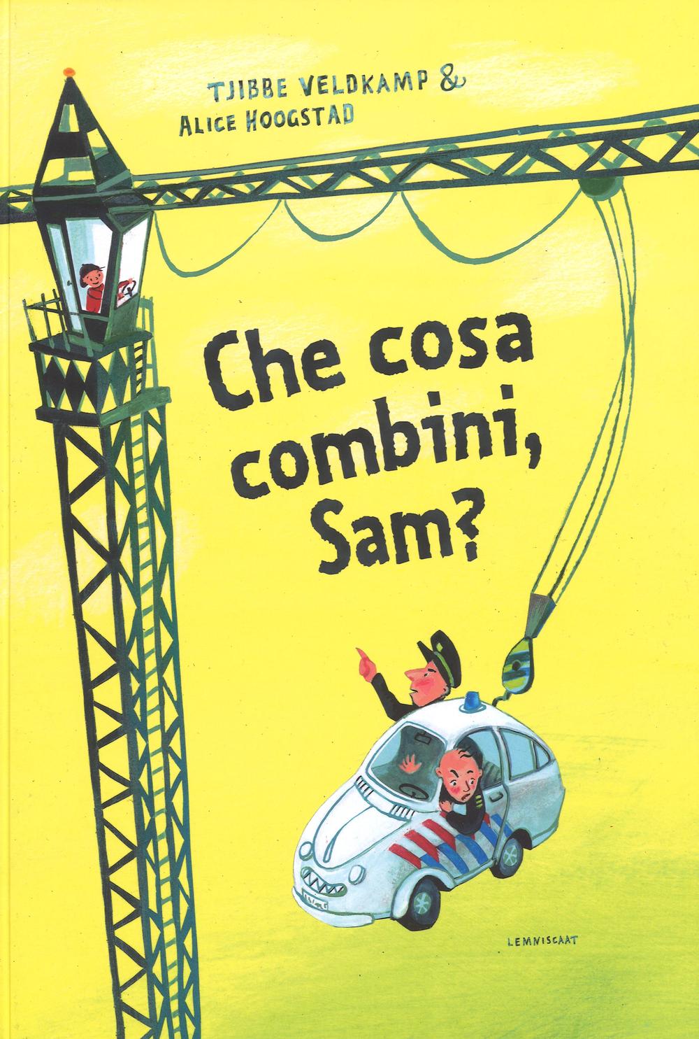 Che cosa combini, Sam? Ediz. illustrata