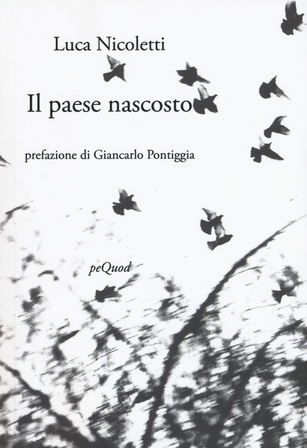 Il paese nascosto