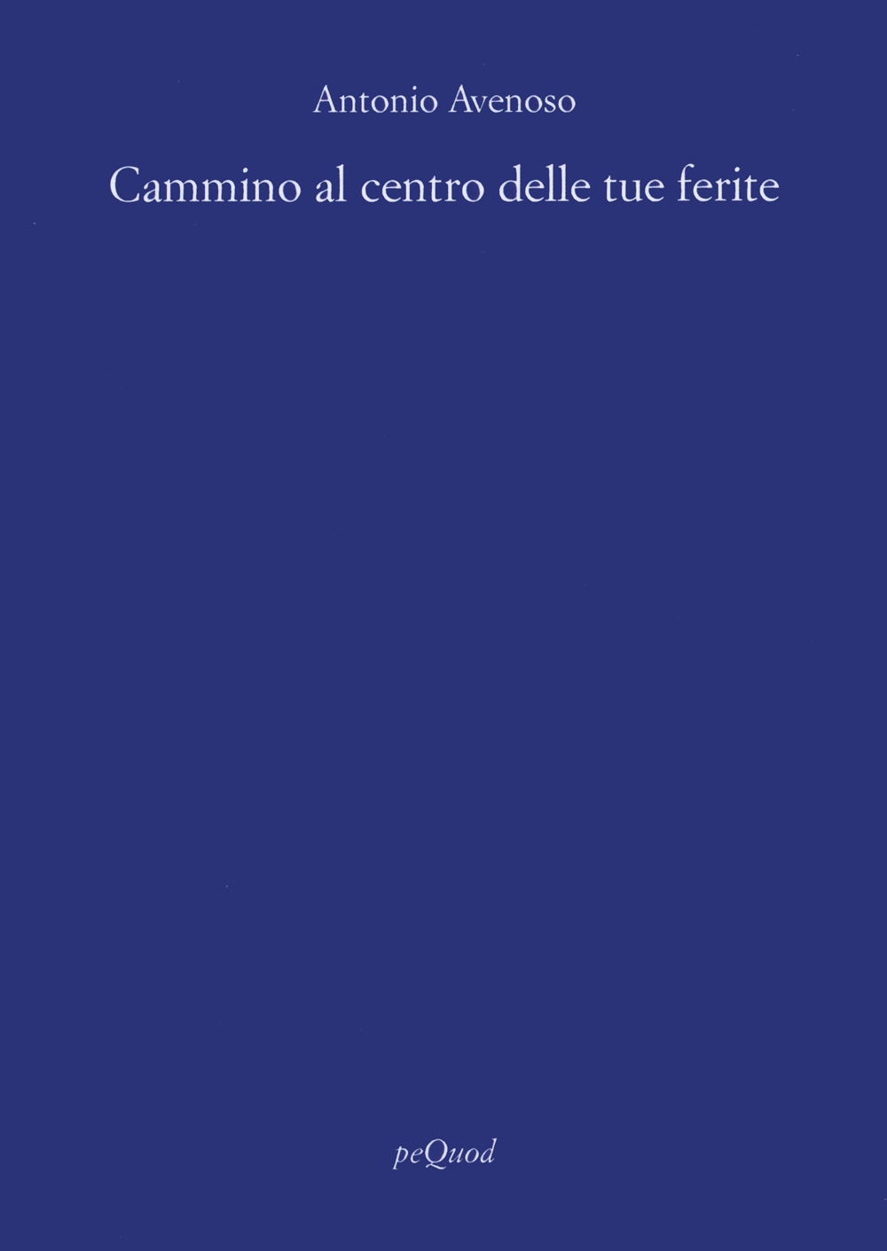 Cammino al centro delle tue ferite