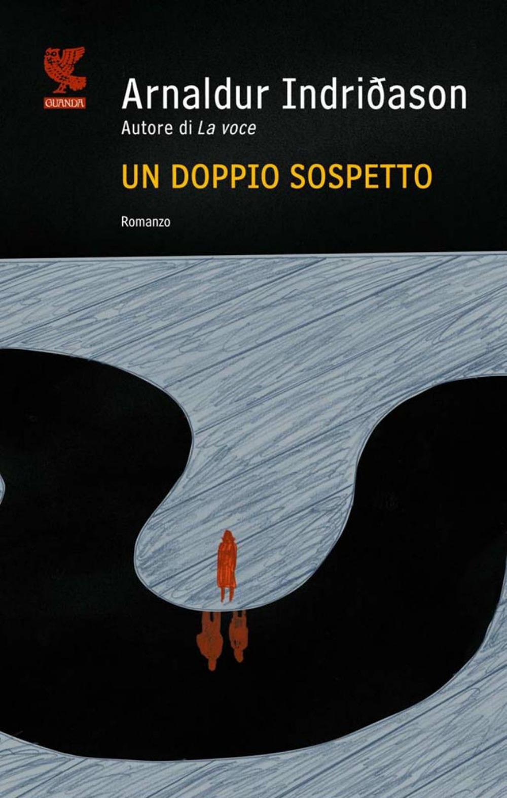 Un doppio sospetto. I casi dell'ispettore Erlendur Sveinsson. Vol. 7