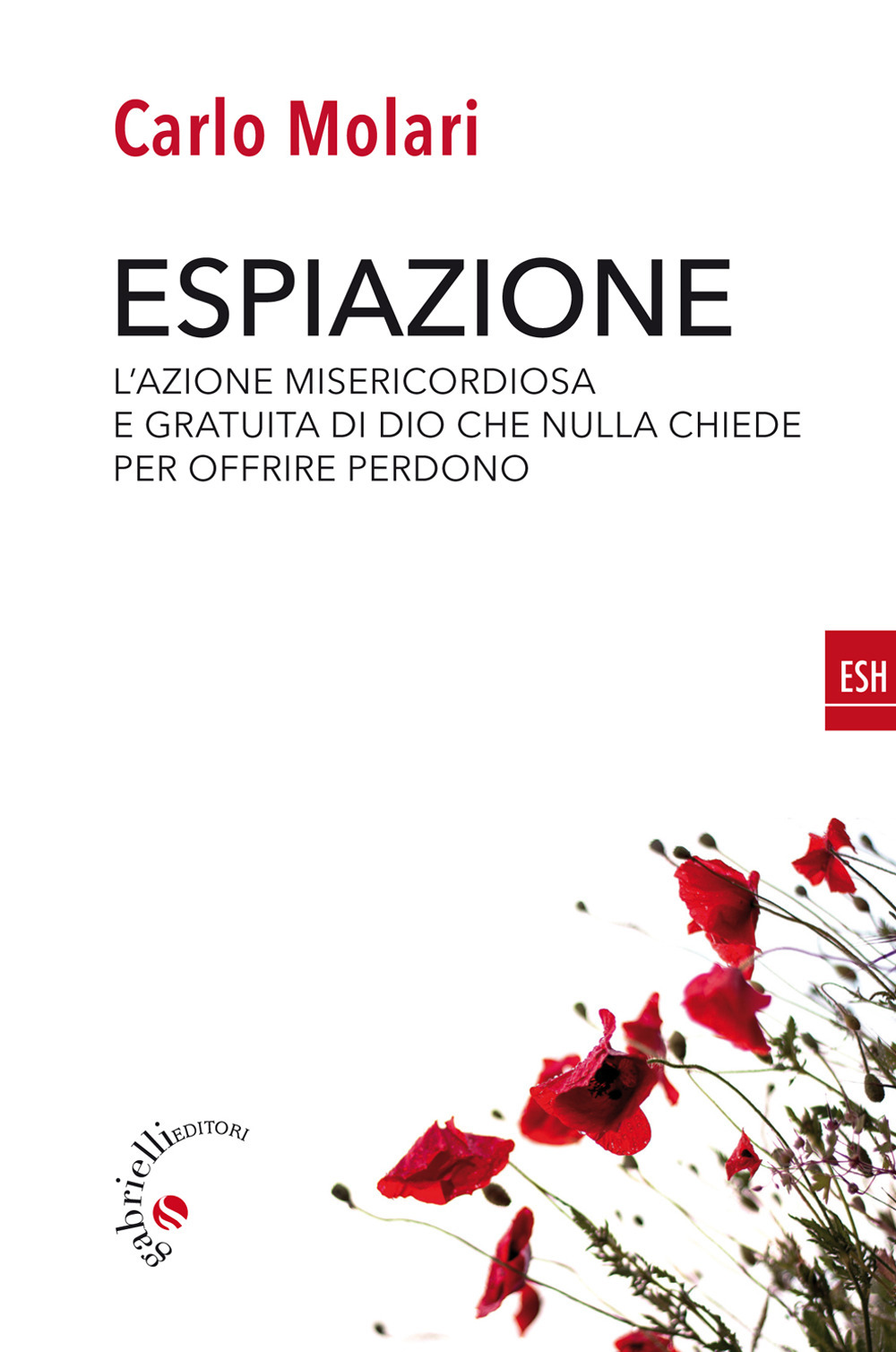 Espiazione. L'azione misericordiosa e gratuita di un Dio che nulla chiede per offrire perdono