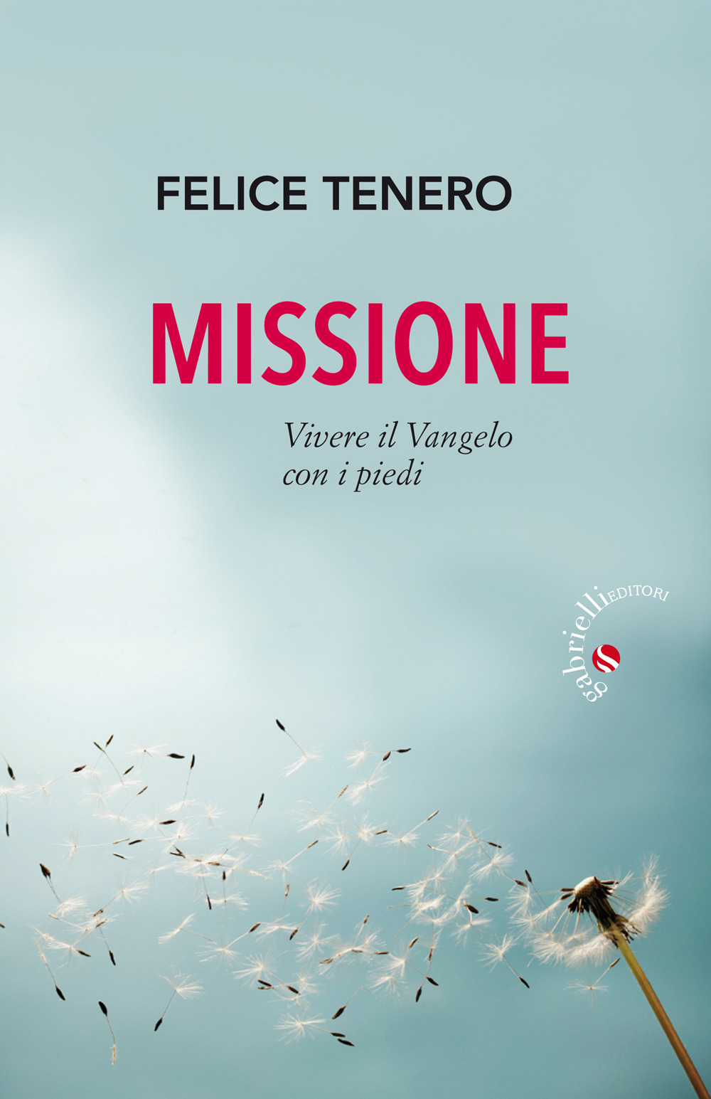 Missione. Vivere il Vangelo con i piedi