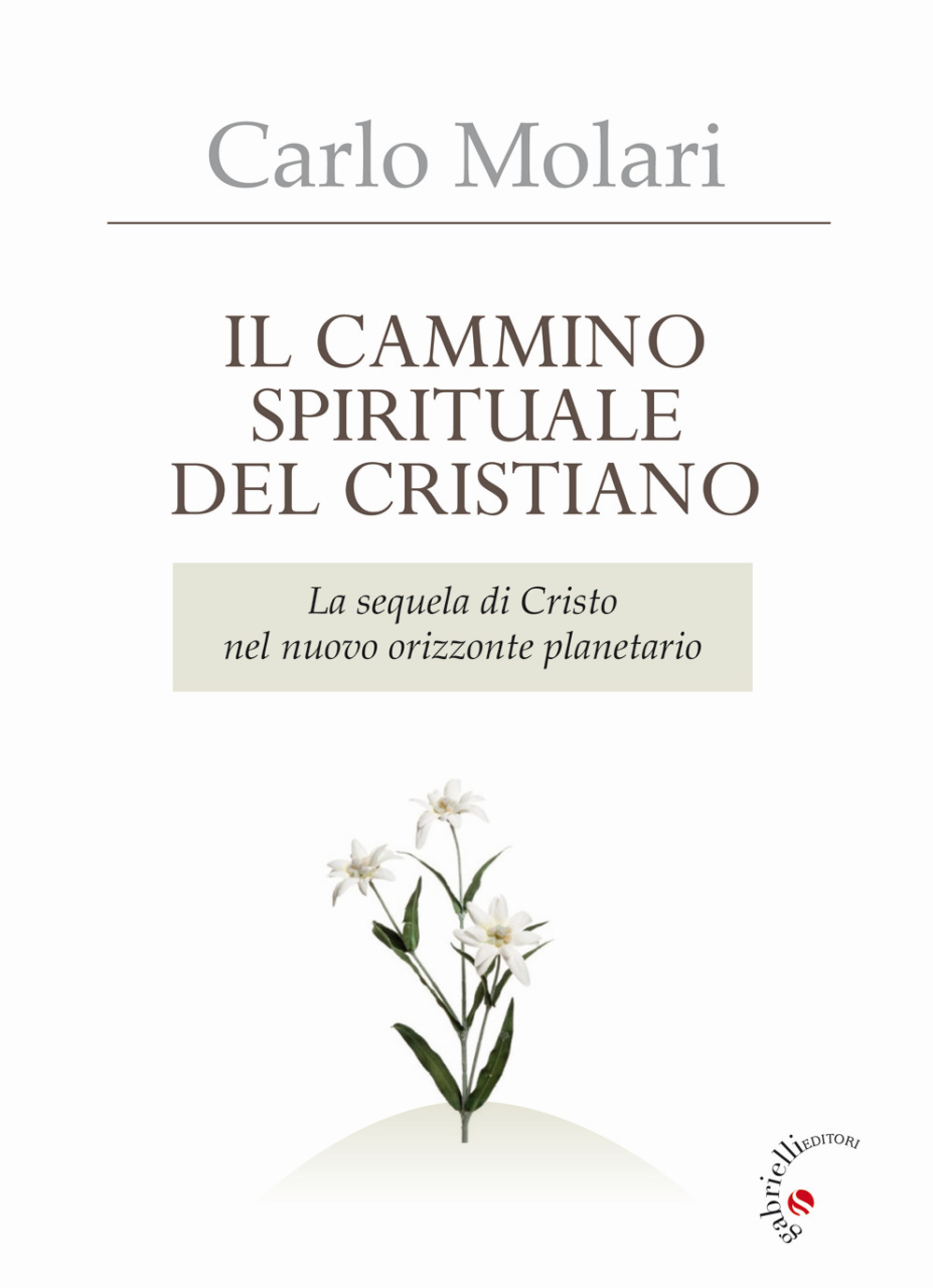 Il Cammino spirituale del cristiano. La sequela di Cristo nel nuovo orizzonte planetario