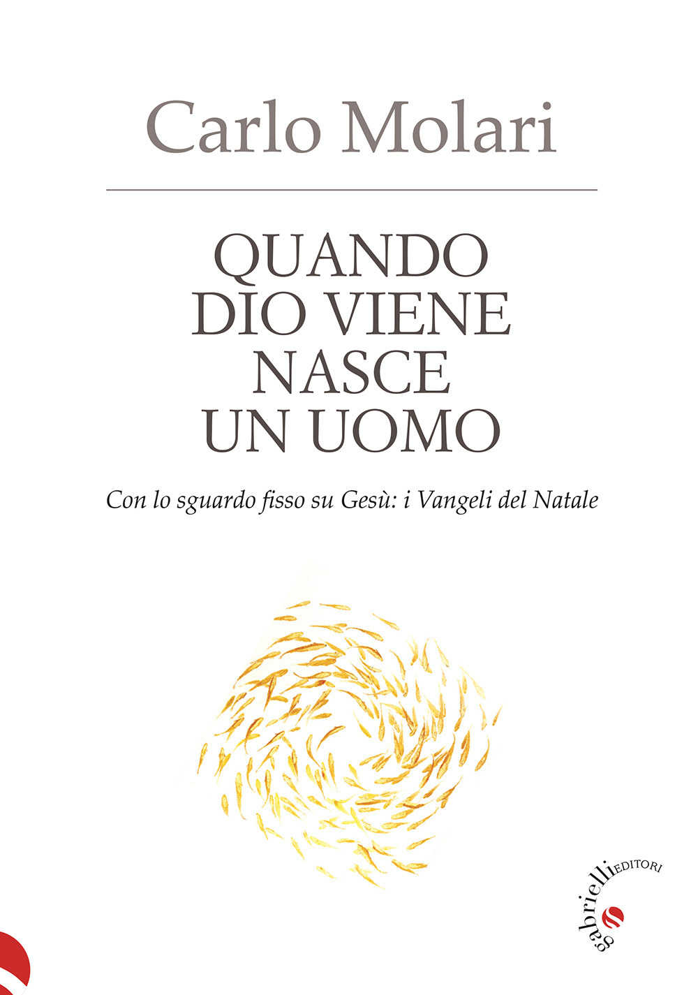 Quando Dio viene nasce un uomo. Con lo sguardo fisso su Gesù: i Vangeli del Natale