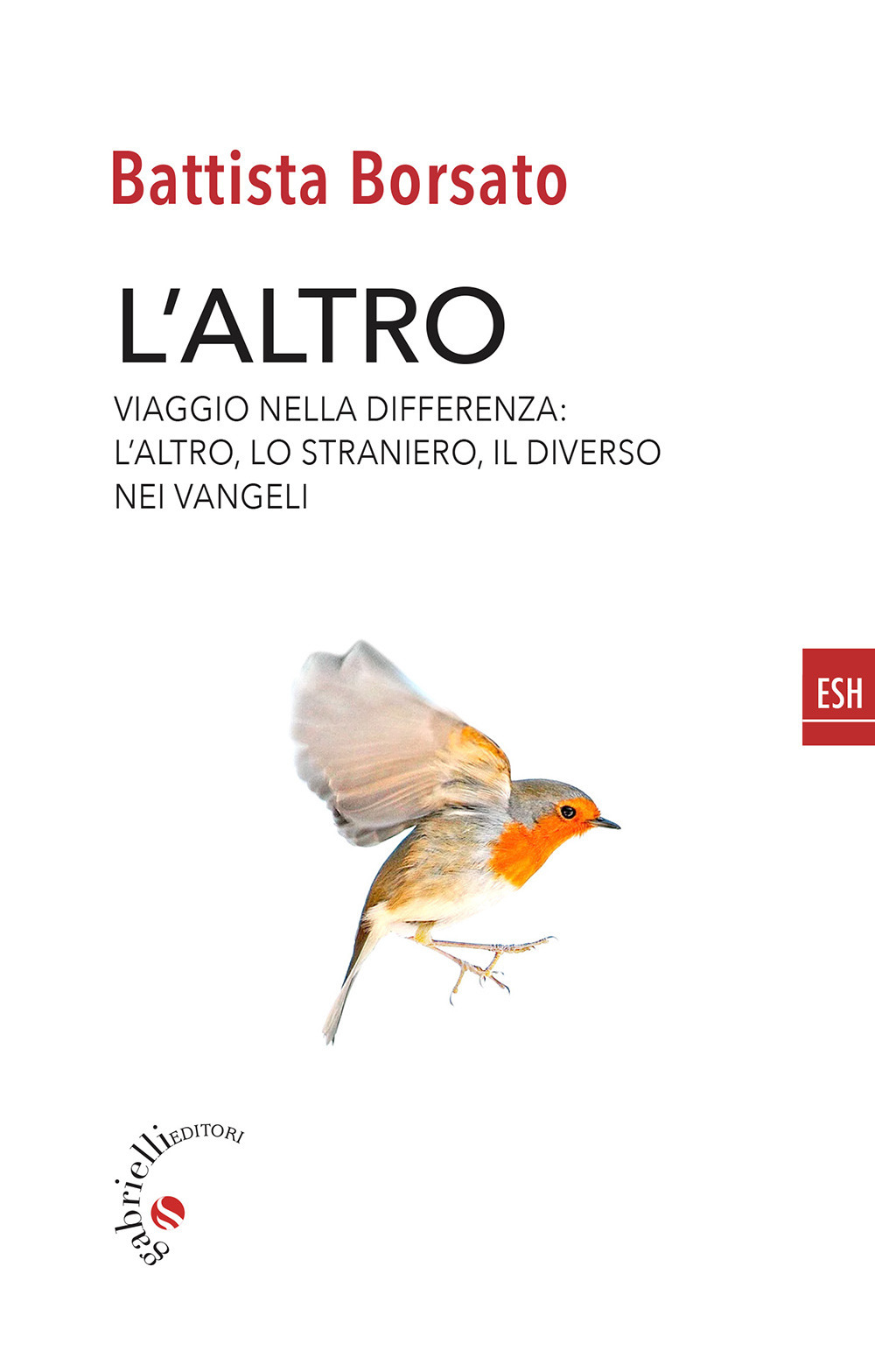 L'altro. Viaggio nella differenza. L'altro, il diverso, lo straniero nei Vangeli