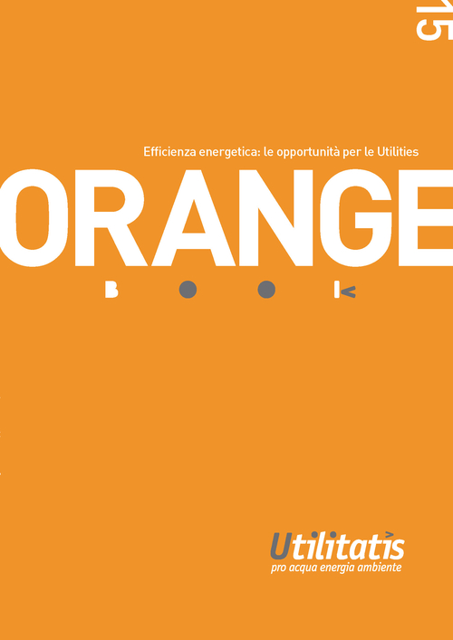 Orange book 2015. Efficienza energetica: le opportunità per le Utilities