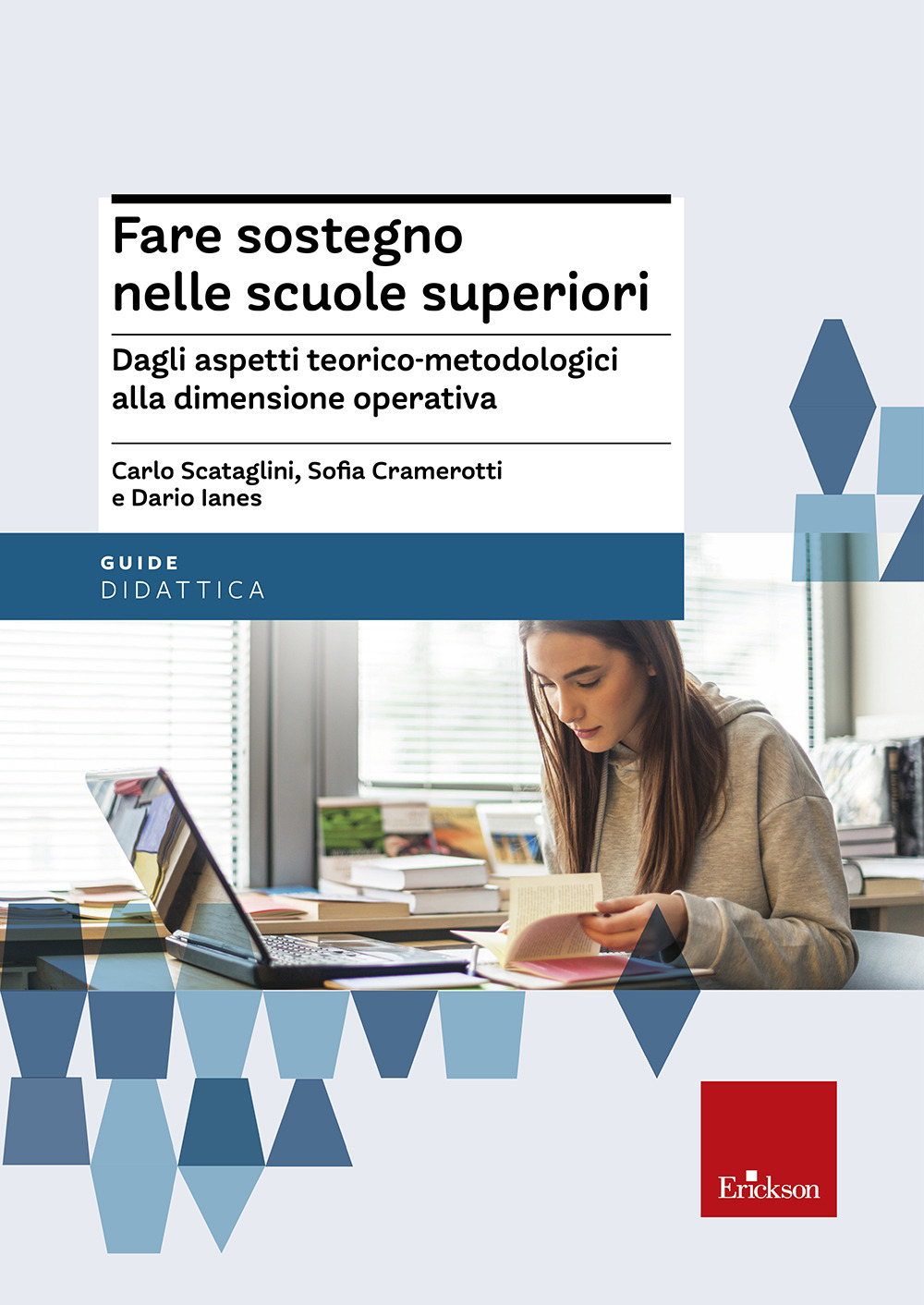 Fare sostegno nelle scuole superiori. Dagli aspetti teorico-metodologici alla dimensione operativa